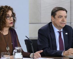 Isofotón, una máquina extractora de fondos de la Junta y cobijo para cargos del PSOESus sociedades pantalla no estaban radicadas nunca en Andalucía, condición inexcusable para recibir ayudas. Una vez expulsado de la empresa, el ex CEO Manzano Seco siguió operando en empresas participadas por la Junta