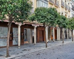 La Sevilla monumental, desolada y sin turistas