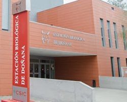 Dos «murciégalos» en Nueva York. Capítulo IILa apasionante historia basada en hechos reales (con algunos detalles imaginados, por discreción) de cómo todo comenzó en Sevilla con dos "murciégalos" de Doñana