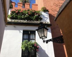 Vuelven las macetas y las gitanillas al callejón de la Judería tras la desaparición del turismo masivoGrupos xenófobos orinaban en las ventanas por el nombre de la calle
