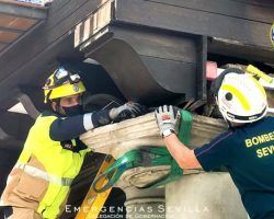 Un camión desplaza una de las columnas de la calle Alemanes de Sevilla