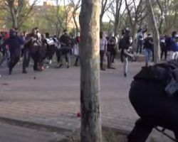 El 85% de la violencia política en España proviene de la izquierda