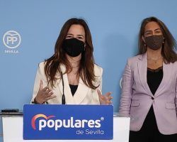 El PP de Sevilla alerta que “tras el Estado de Alarma hoy comienza el Estado del Caos de Sánchez”Teresa Jiménez-Becerril ha agradecido a Isabel Díaz Ayuso “el gran éxito obtenido en estas elecciones"