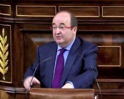 Los asnos asaltan la Constitución
