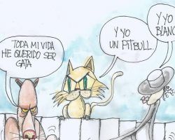 Vamos todos a cambiar…