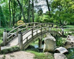Tips para poner a punto tu jardín