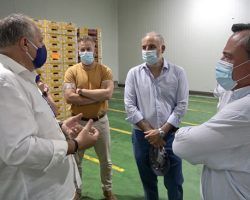 VOX critica que la Junta no proteja al sector hortofrutícola andaluz de la invasión de productos marroquíes Macario Valpuesta: "Están malvendiendo sus productos, ya que es prácticamente imposible competir en precio"