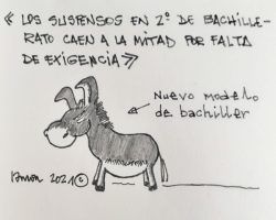 Nuevo modelo de bachillerLa Viñeta de Ramón