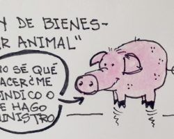 Ley de Bienestar AnimalLa Viñeta de Ramón