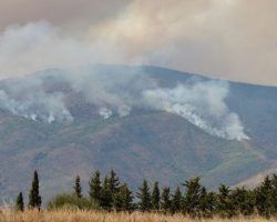 VOX exigirá a Moreno Bonilla que explique por qué tardó tanto en pedir la intervención de la UME en el incendio de Sierra Bermeja 
