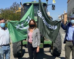 VOX exige en el Pleno de la Diputación garantías para el futuro del campo sevillano  