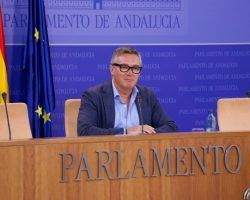 Manuel Gavira sustituye a Macarena Olona como portavoz de VOX en AndalucíaRodrigo Alonso y Javier Cortes serán los portavoces adjuntos