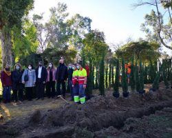 Instalación de cámaras de seguridad que frenen el vandalismo en los parques de SevillaSe inicia la restauración de la glorieta del Parque de María Luisa que sufrió varios incendios intencionados en agosto pasado