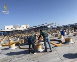 La Guardia Civil desarticula una Organización Criminal por el robo en una empresa mayorista dedicada al Comercio Internacional de Aceituna de MesaLa empresa víctima de los hechos, con sede en la localidad de Huévar del Aljarafe, tuvo que detener su producción durante varias horas