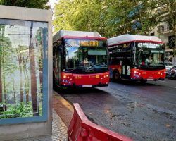 Nuevas paradas de Tussam de las líneas 40 y 41 en Reyes Católicos