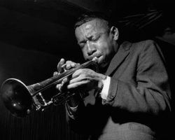 Pero hermoso (Muertes de Jazz)