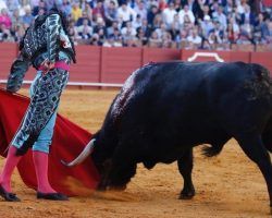Los toros del no entendido