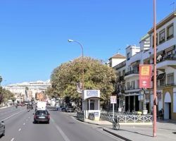 Urbanismo retirará de la Comisión Ejecutiva los asuntos relacionados con licencias de demolición en el Paseo Colón para la construcción de apartamentos turísticosDe la Rosa: "Tenemos que estudiar la viabilidad y legalidad de esta construcción"