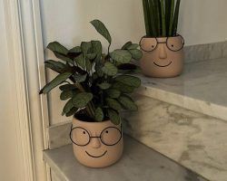 Planta sapiens