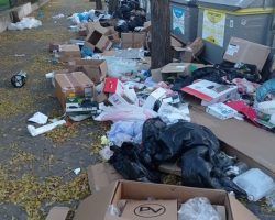 Modificación de la Ordenanza de Limpieza con multas de hasta 3.000 euros por pinturas vandálicasSe regula la gestión de los residuos procedentes de viviendas con fines turísticos