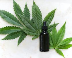 ¿Cuáles son los beneficios potenciales del CBD?