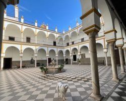 Jornada de merienda y visitas a San Leandro para presentar los «mandazi», un dulce típico de la costa oriental africana