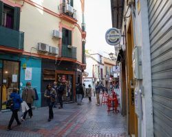 La calle Regina contará este año con toldos y en próximos días se licitará el entoldado de Marqués de Contadero Sanz: “Ya dije que iba a trabajar para que Sevilla tuviera más sombra"