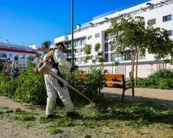 Plan especial de desbroces con 58 contrataciones de refuerzo en la plantilla de Lipasam Sanz: "Seguimos dando pasos para que Sevilla sea una ciudad más limpia y cuidada”
