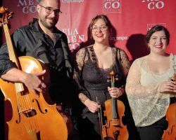 La Orquesta Flamenca se viste de Aurora GaviñoSe ha estrenado el concierto ‘Quejío entre cuerdas’ en el Teatro Flamenco de Sevilla, que presenta, oficialmente, a la Orquesta Flamenca.