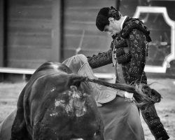 Juan Ortega, torero de fraguaPor Álvaro de San Román