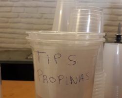 Bilingües: ni los hay ni tan de anhelar son