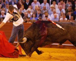 Toros en Sevilla: La verdad de la Fiesta y la Fiesta de verdadHeroica tarde de Escribano, que volvió al ruedo tras ser corneado y operado y cortó dos orejas. Borja Jiménez, sólido y asentado en la zona noble del escalafón