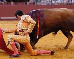 Toros en Sevilla: El poder de Daniel Luque y el duro de oro puro de Juan OrtegaCortaron una y dos orejas en dos faenas de distinto corte e igual peso. Regular encierro de Domingo Hernández y Garcigrande