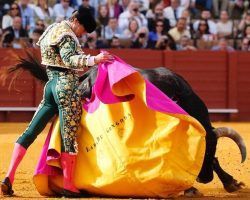 Toros en Sevilla: El orejeo facilón de la MaestranzaLama de Góngora se llevó una y Calerito dos ante un encierro de Fermín Bohórquez muy muy Murube