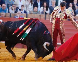 Toros en Sevilla: 6 toros 6 ¡¡Los seis!!Recital de bravura -uno más- de la ganadería de Santiago Domecq; sólo David de Miranda estuvo a la altura