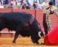 Toros en Sevilla: Los toros de la estrella, estrelladosEl mal encierro de Jandilla condiciona la décimoprimera del abono de la Feria de Abril