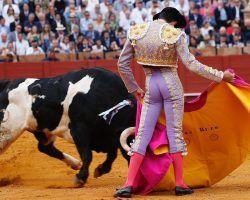 Toros en Sevilla: Al menos dio para que sonara Juncal…Alcurrucén se la pega en su regreso a Sevilla con una corrida sin raza. Morante, Castella y Rufo lo intentaron