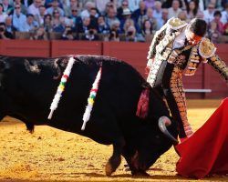 Toros en Sevilla: La puertecilla del príncipeLuque cortó dos orejas y le regalaron otra tras una faena de arrimón al sexto. Bonancible y escaso de fuerzas encierro de Núñez del Cuvillo