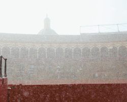 Toros en Sevilla: El Domingo de Resurrección también es Semana Santa…Orejitas para Castella y Roca Rey en una tarde más de perros que de toros. Morante, silenciado, ofreció uno de sus detalles eternos.