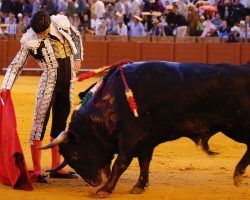 Toros en Sevilla: Roca Rey, el torero perfecto para tiempos sin nortePablo Aguado hizo lo mejor de la tarde en el sexto del pésimo encierro de Victoriano del Río. Ortega se fue de vacío