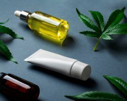 El éxito de los CBD shop: ¡5 razones que lo han hecho posible!