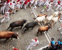 PACMA denunciará a RTVE por vulnerar los derechos de la infancia con las retransmisiones de los encierros de San Fermín
