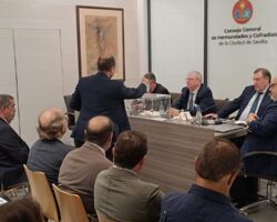 El Consejo de Cofradías no aprueba la propuesta económica de las Hermandades del Viernes de Dolores y Sábado de Pasión