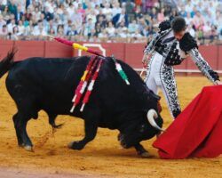 Toros en Sevilla: Importantísima faena de Daniel Luque a un complicado toro de Victoriano del RíoTalavante abrió la puertecilla principesca con un bajonazo de dos orejas al segundo que confirma la deriva de la plaza de Sevilla