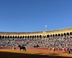 Toros en Sevilla: De la apoteosis capotera a las palmas resignadas de la MaestranzaLos toros de Matilla no facilitaron el toreo de Juan Ortega y Pablo Aguado. Hermoso de Mendoza recibió el cariño del público de Sevilla en su despedida