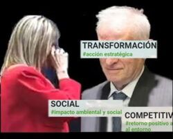 Peinado, paciencia, que la están peinando