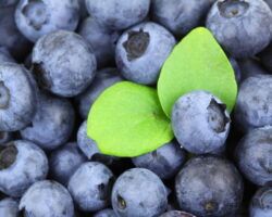 Arándanos, una fruta onubense excepcional