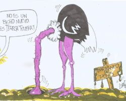 Teresa… Teresa…