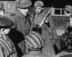 Auschwitz, Franco y Paracuellos