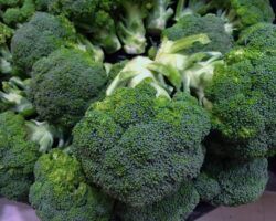 Redescubriendo el brócoli
